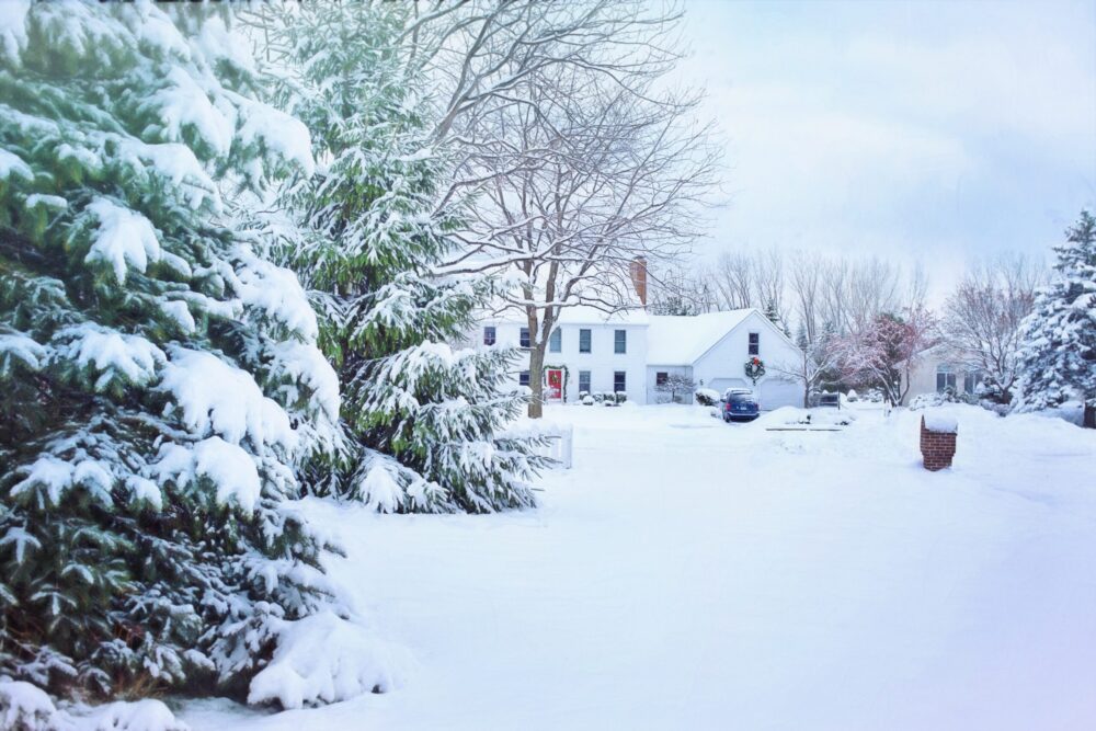 Home behind trees in snow