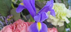 Iris and other flowers