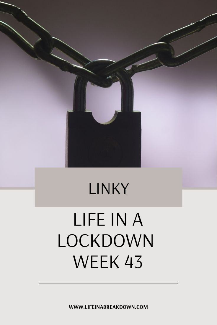 Week 43 of our linky, it has been a year since Wuhan went into lockdown it all feels like such a long time ago. What has the last week held?
