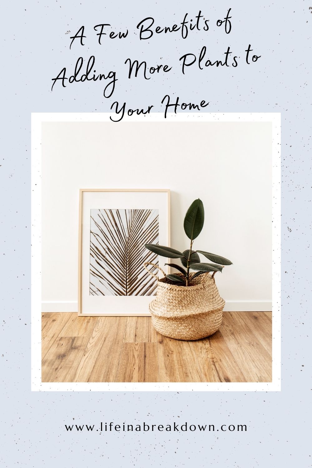 Did you know there are multiple benefits to having plants in your home? Here are just a few of them and how they help.