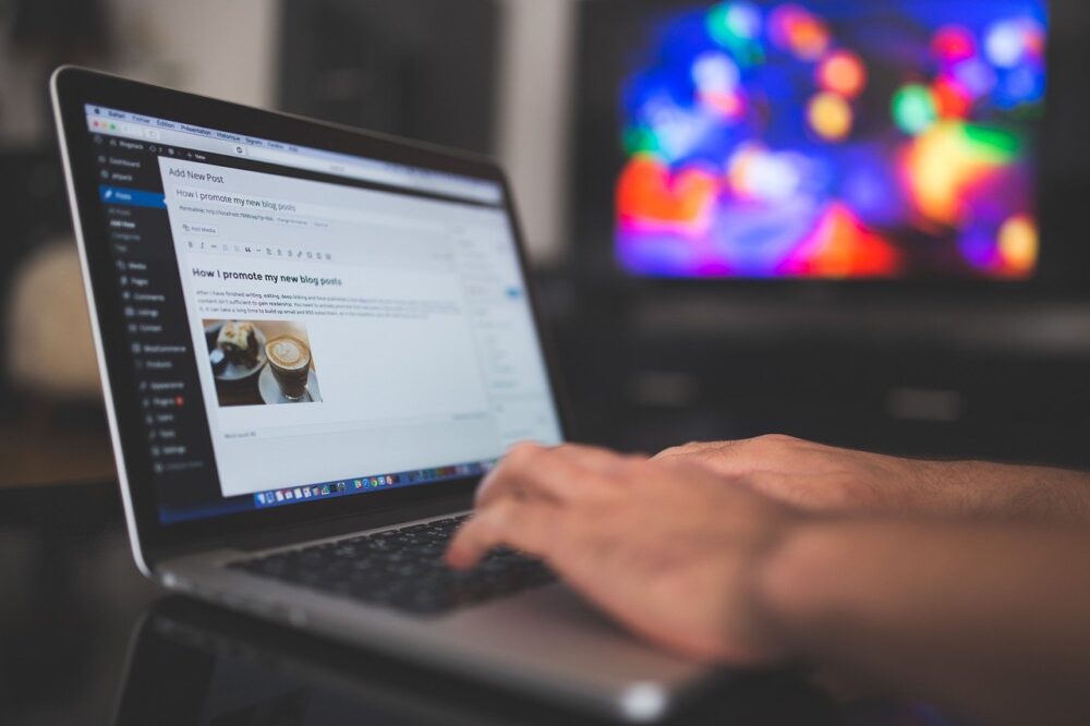 Person Blogging on WordPress