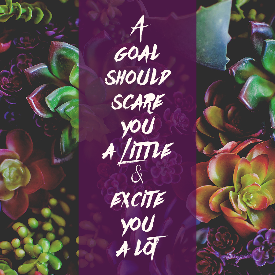 A goal should scare you a little and excite you a lot