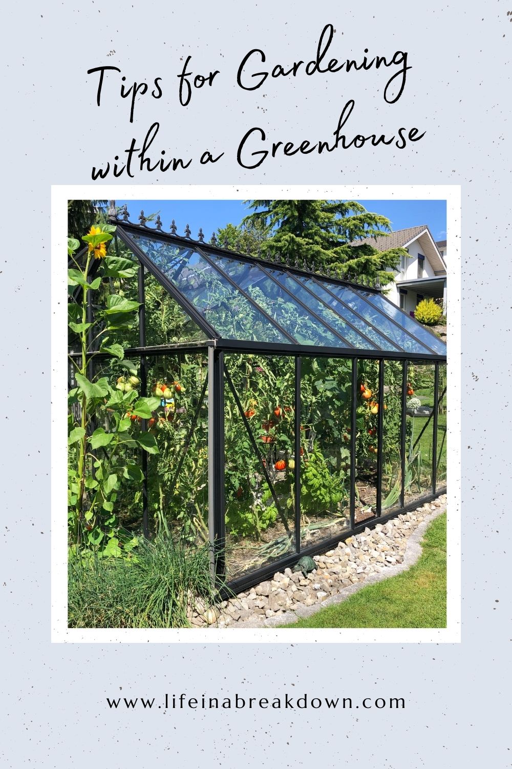 Are you thinking of getting a greenhouse? Here are some tips for when you start to grow within this new setting in your garden.