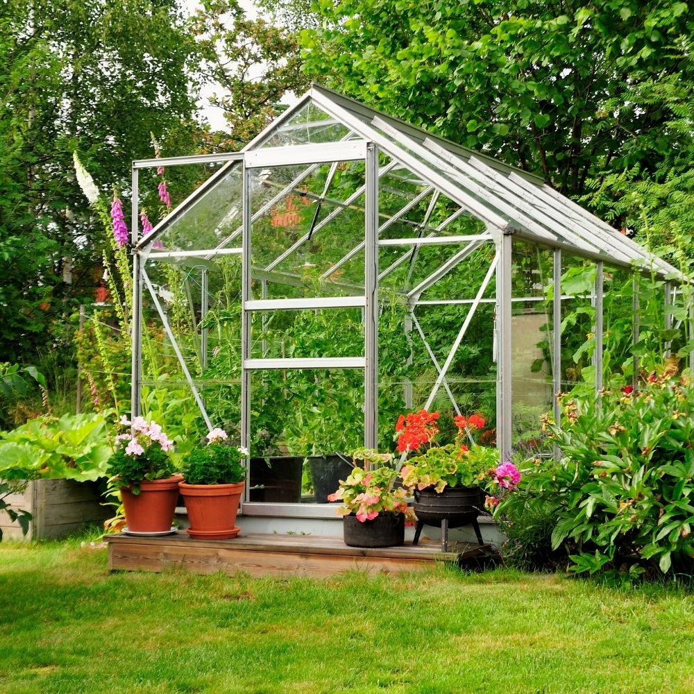 greenhouse set up in a garden with plant pots outside