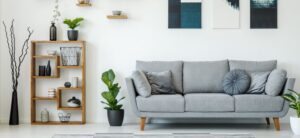 grey sofa and bookshelf in a comfortable living area