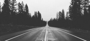 long road ahead with trees either side in black and white