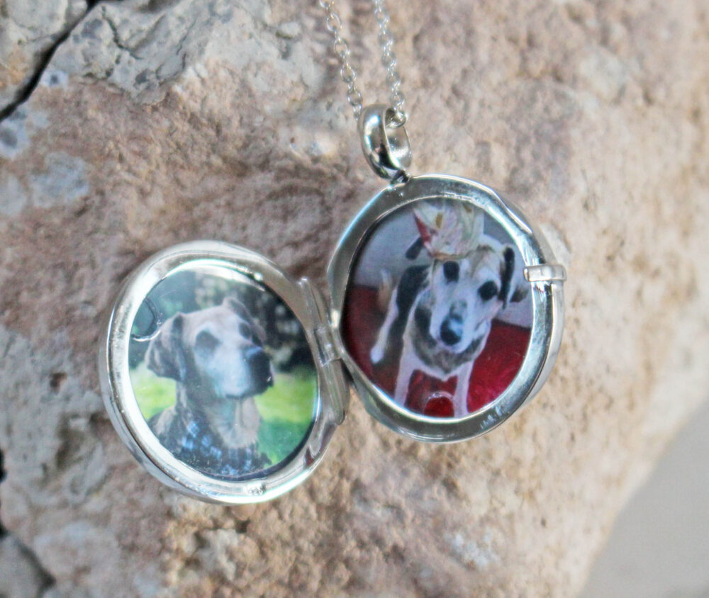 LOVELOX Tree of Life Silver Necklace inside with two photos of Sally dog