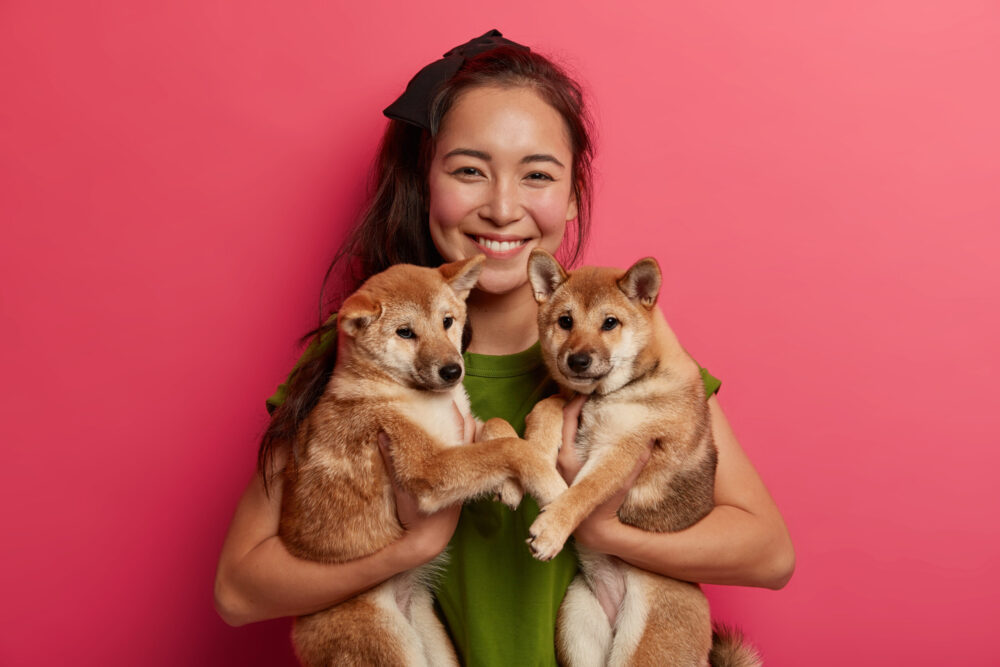Happy brunette girl adopts two puppies from shelter, happy to have new friends, holds pets, being dog lover, going to walk. Animal owner suggests to adopt pet, smiles gladfully have friendly relations