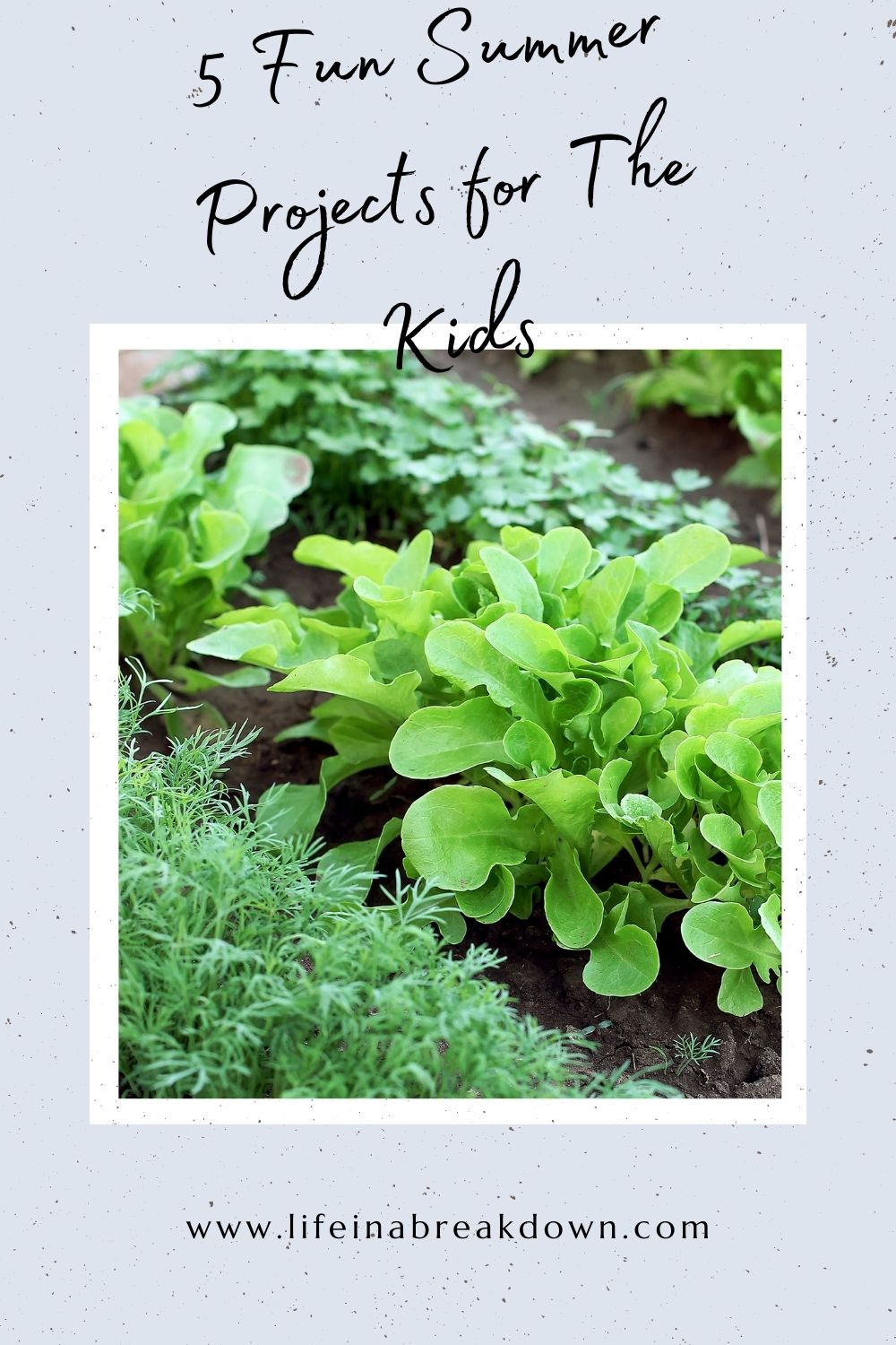 Are you looking for some summer projects to help keep you and your kids busy? Then here are some fun ideas.