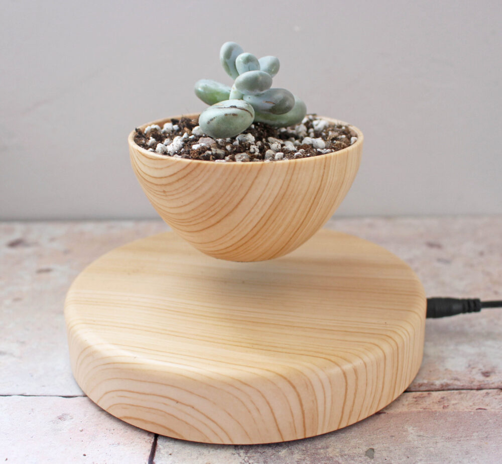 Floately Airsai - Floating Plant Pot - Style 1 with Plant Potted inside.
