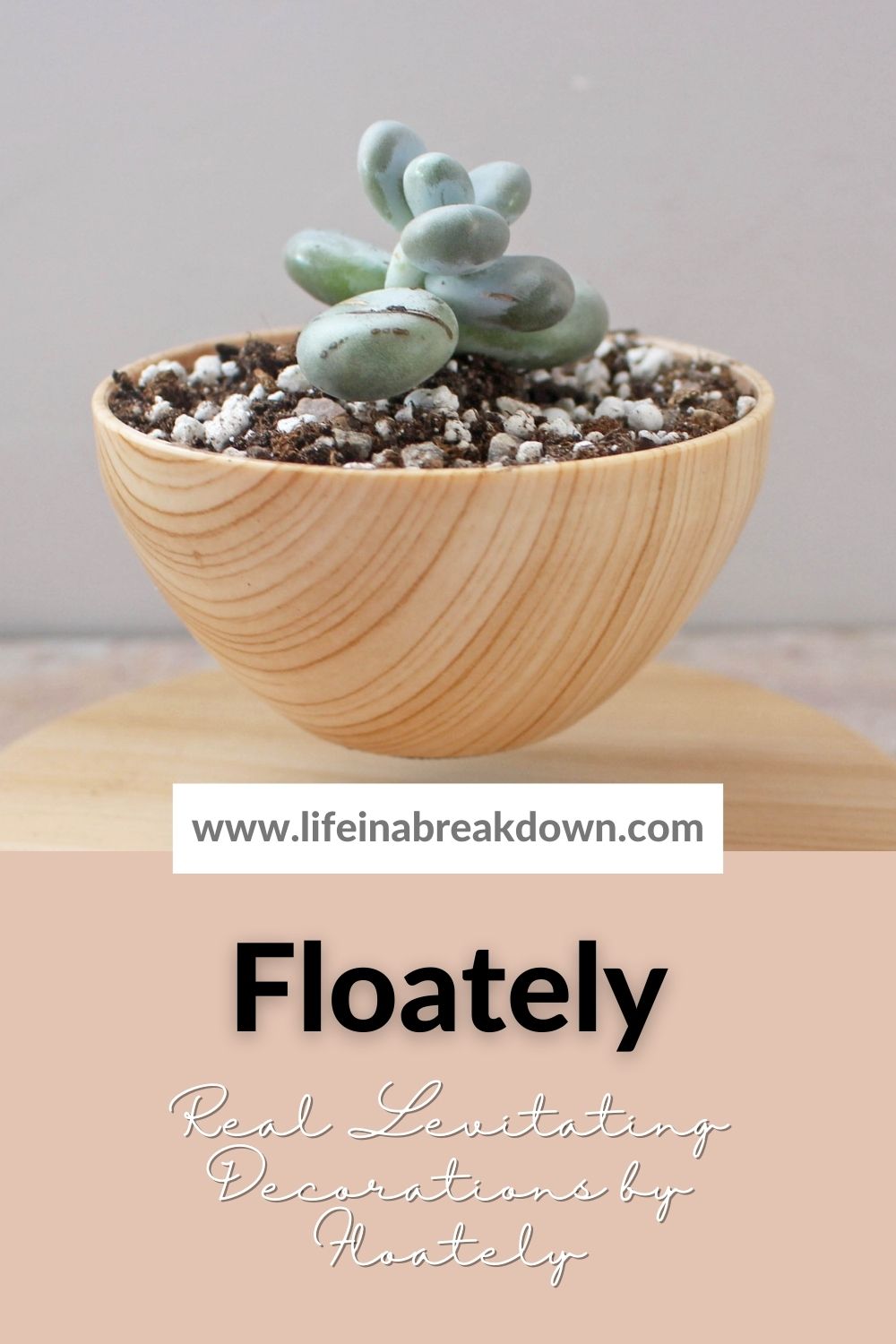 Are you looking for a unique new décor addition to your home? Then you have to find out more about these real levitating decorations from Floately.