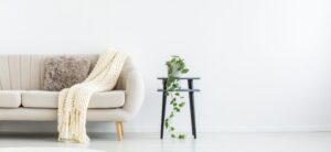 cream coloured sofa next to a side table with a plant on it
