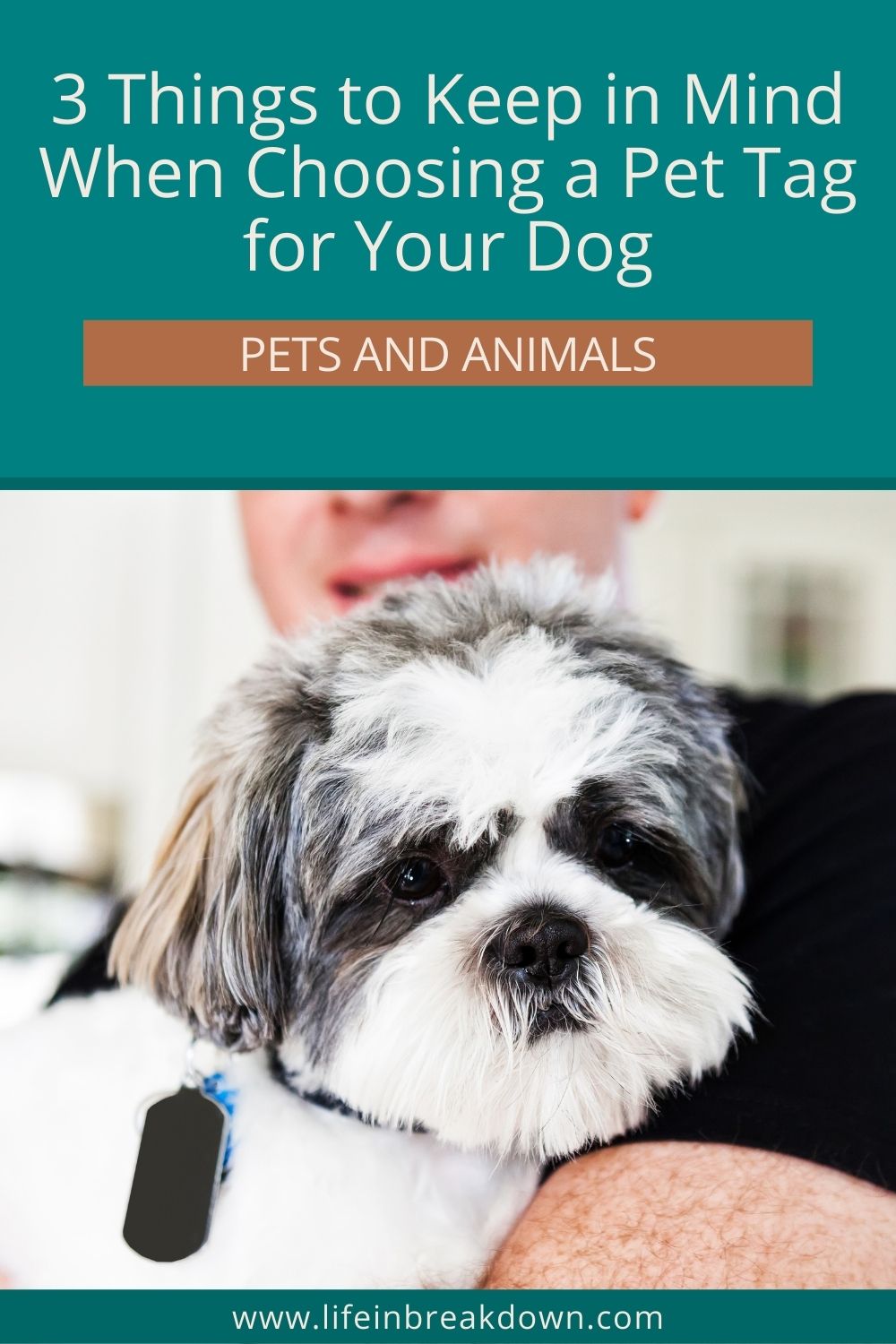 Are you looking to buy a pet tag for your dog? Then here are three things you should keep in mind when doing so.