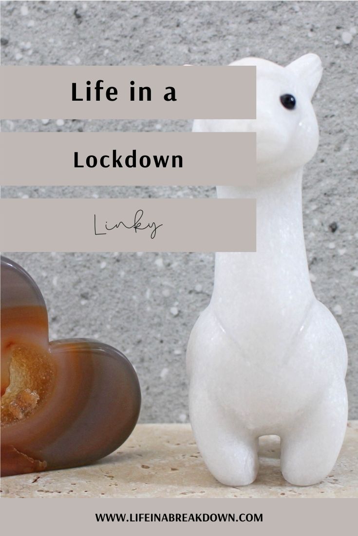 Freedom Day has come and gone, all restrictions are done, but what does that mean for the future of life in a lockdown?