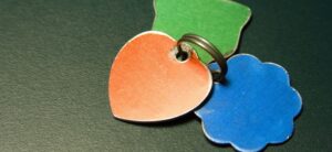 collection of pet tags