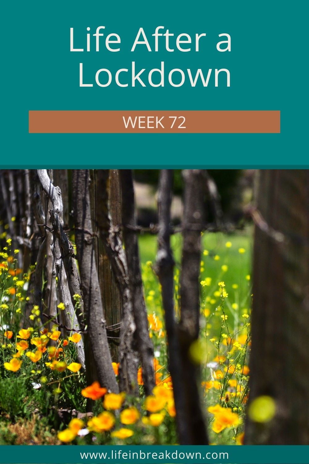 Another week down for life after a pandemic, more things have changed, could things go wrong, or will everything go smoothly?