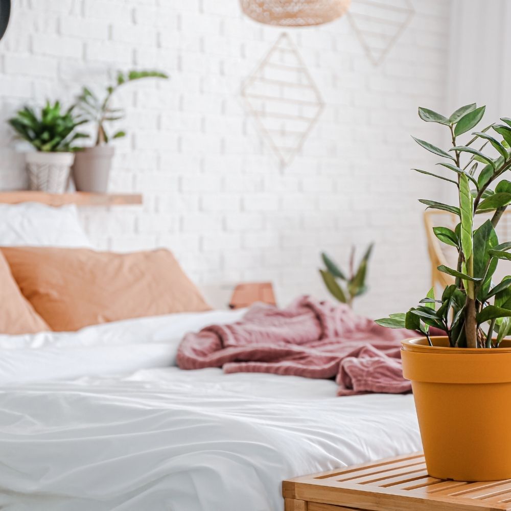 plants in a bedroom