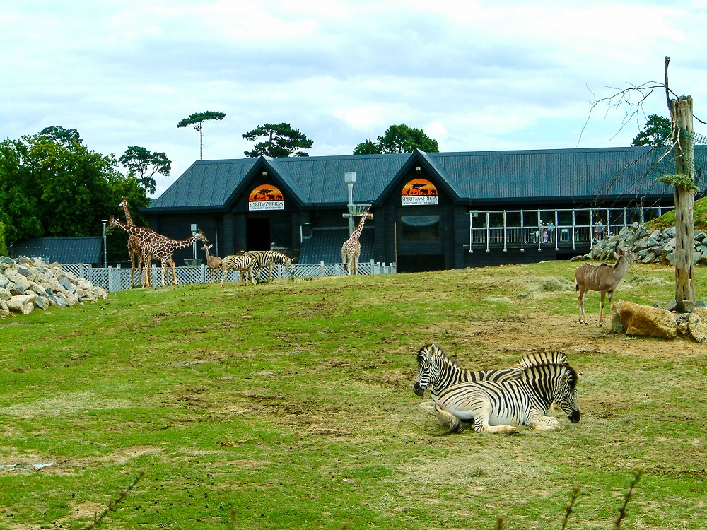 Colchester Zoo Essex Image Via Micaela Burr