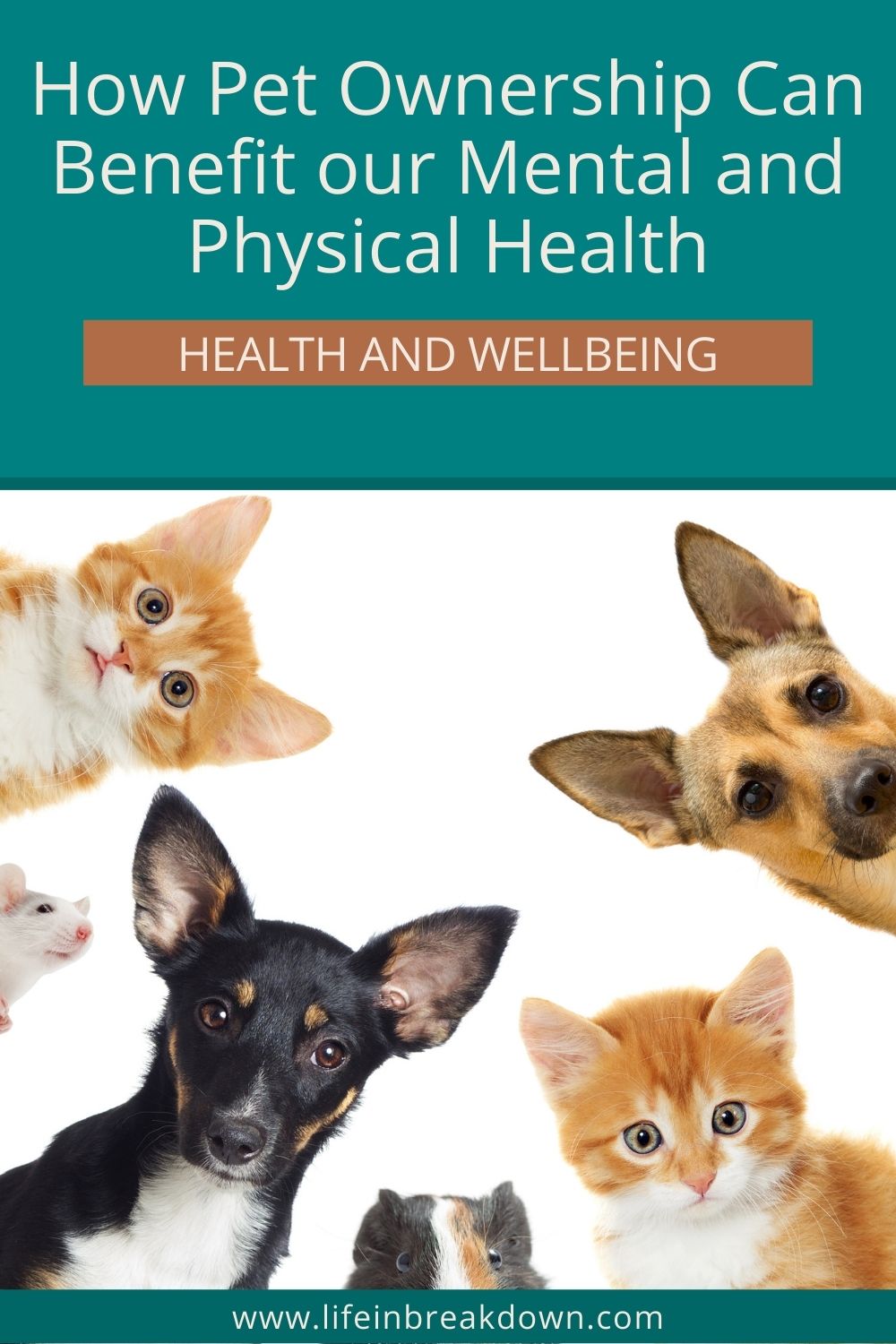 There are many ways pet ownership can benefit our mental and physical health this post going into just some of them.