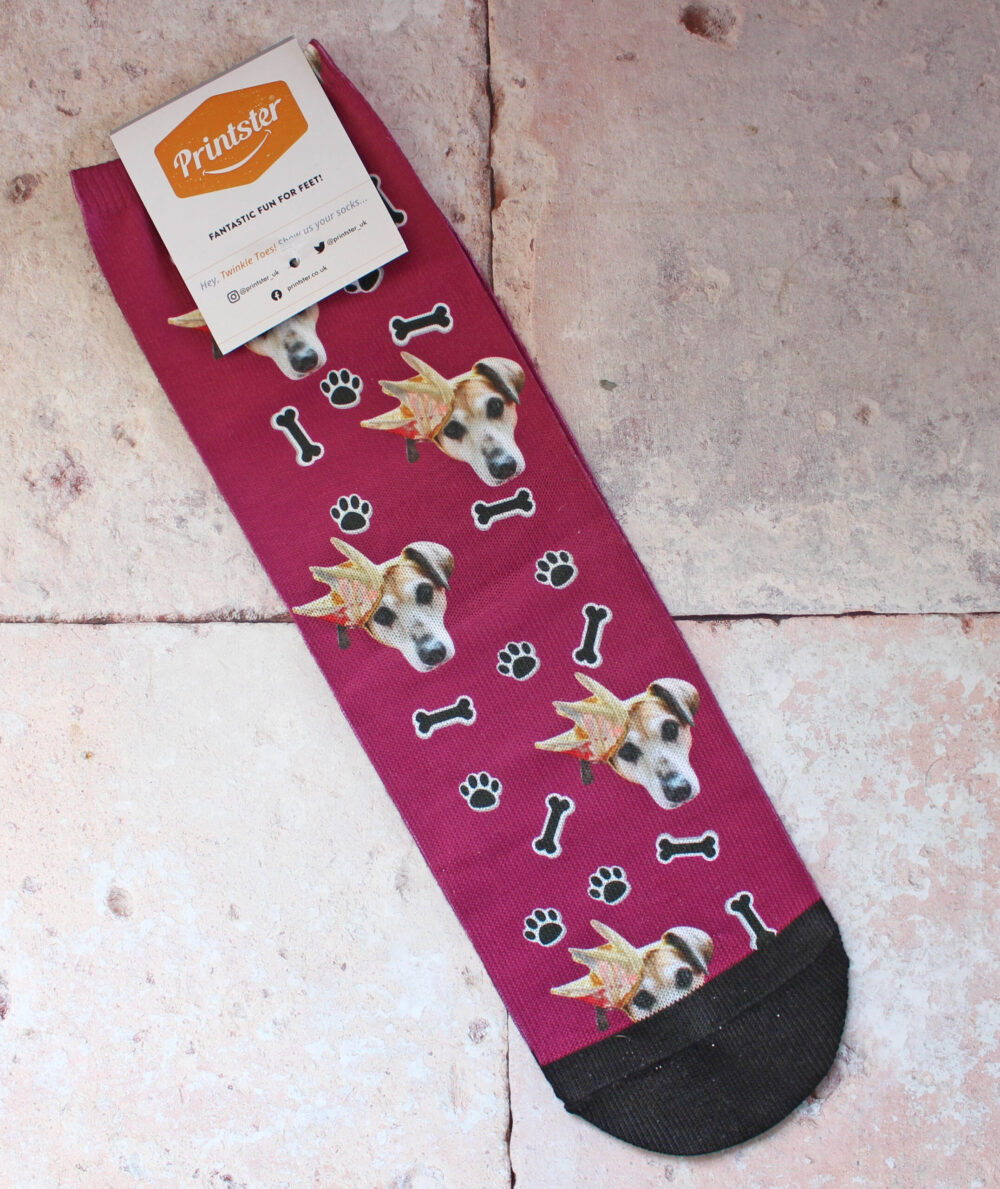 Printster dog on socks showing Sally dog wearing a crown