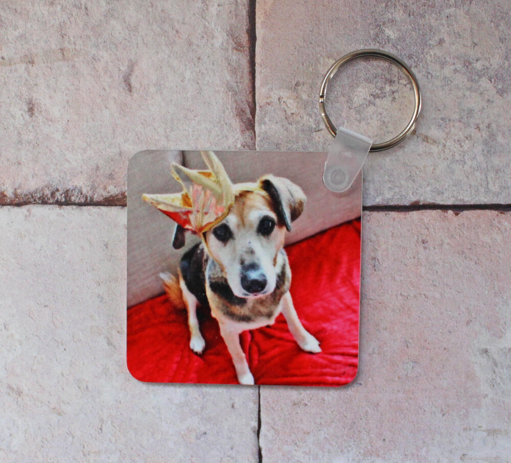 Printster Sally dog wearing her crown on a square keyring