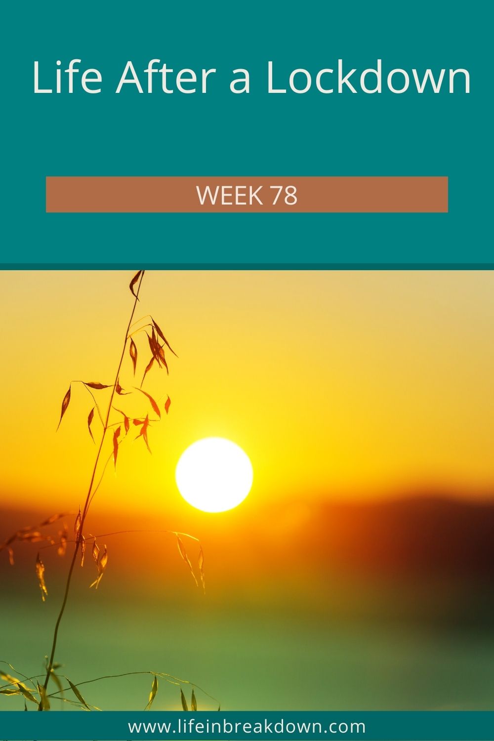 Another week has gone by - people are panic buying fuel so places are running out, however, what else has been happening?