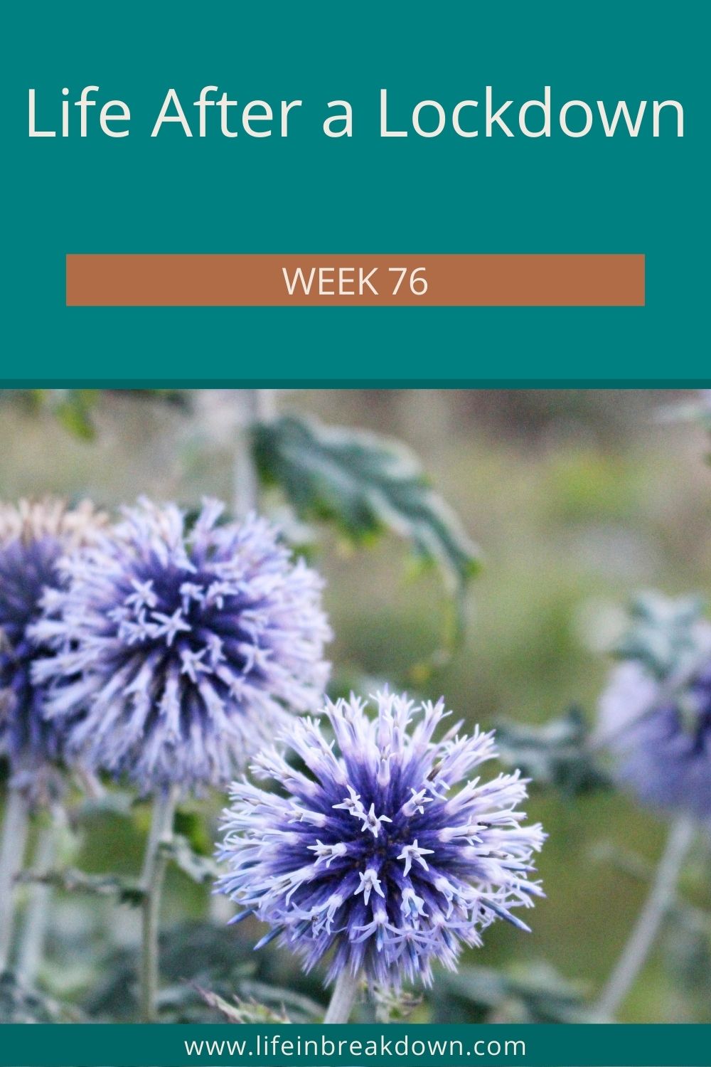 Another week has gone by another week where people talk about stepping back to normality how has it been for me? Find out in this post.