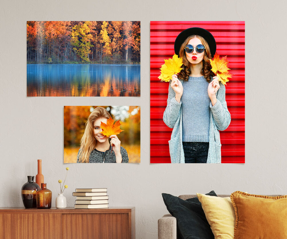 My Picture . co . uk wall posters
