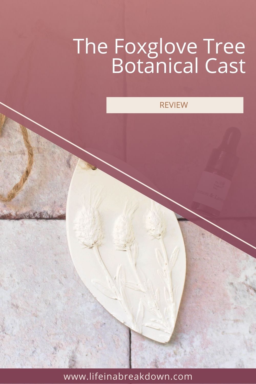 The Foxglove Tree produces beautiful hand cast items using flora and fauna find out more about them in this post.