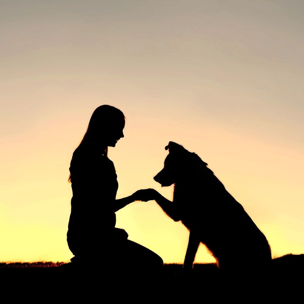 person and dog in silhouette