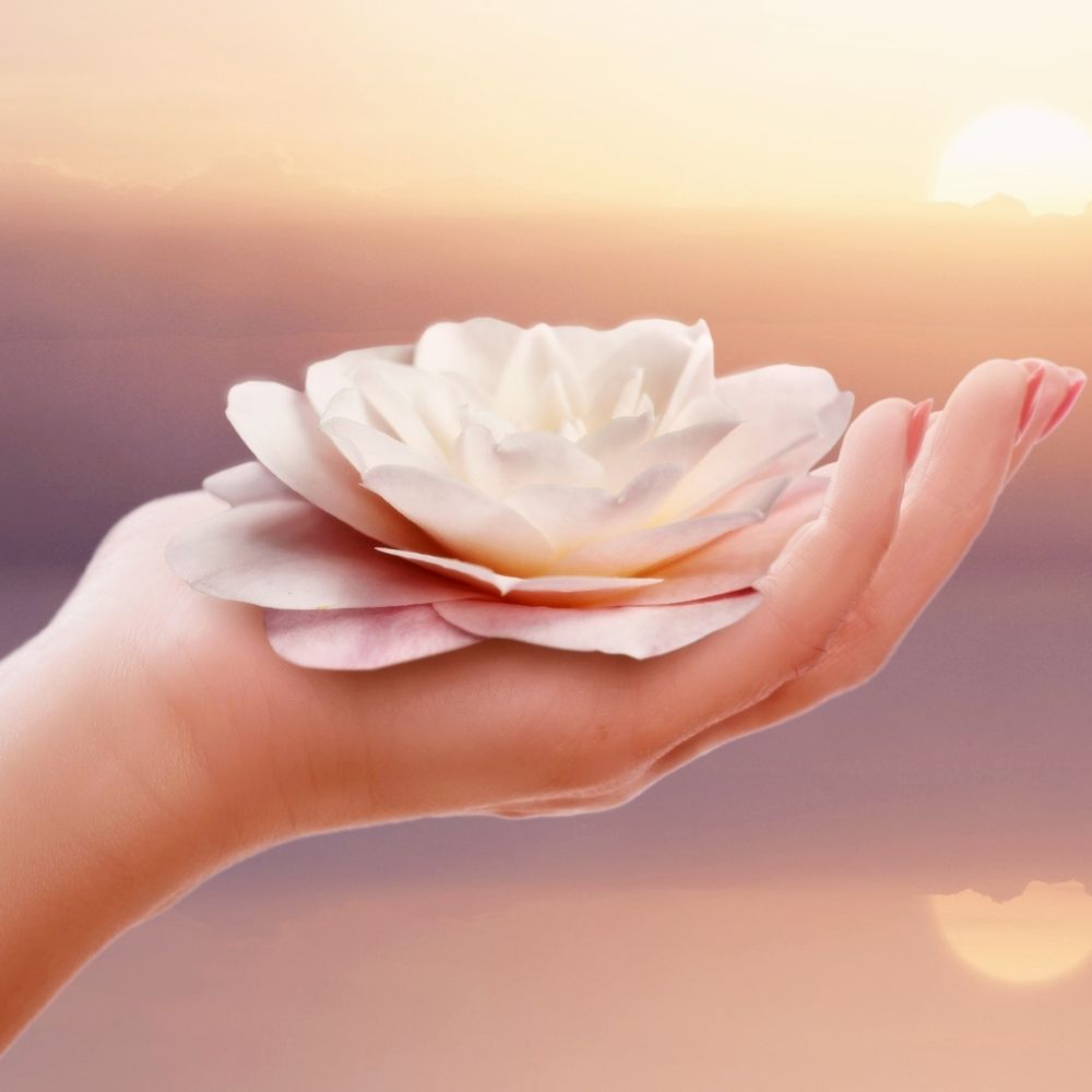 person holding a flower in their hand