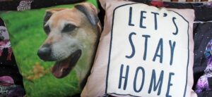 photo cushion with sally on it and a lets stay home cushion