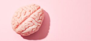 sculpture of a brain on a pink backdrop