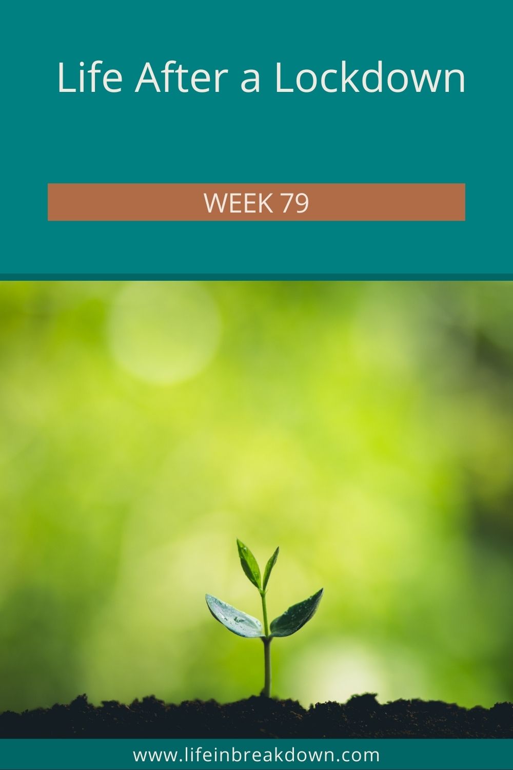 Another week has gone by - another week of life in a different normal. How did week 79 of life after a lockdown go?