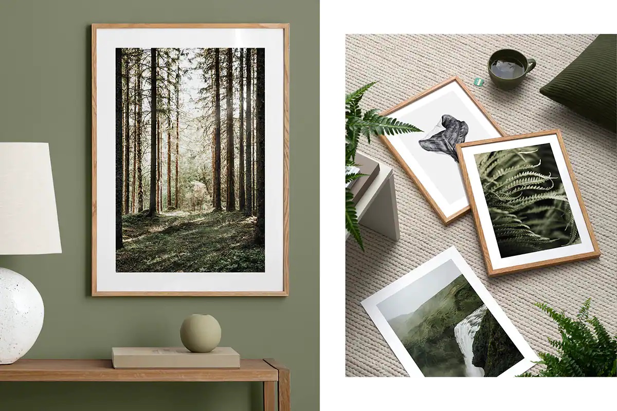 des woodland images green nature