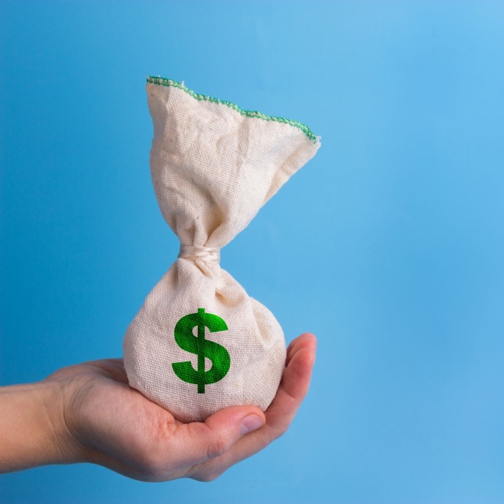 person holding a money bag