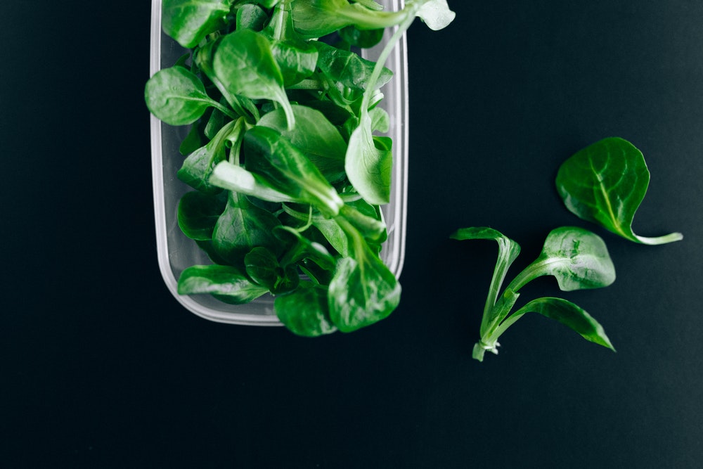 green leaves or salad in a tray