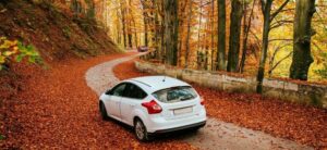 white car driving down a road in autumn