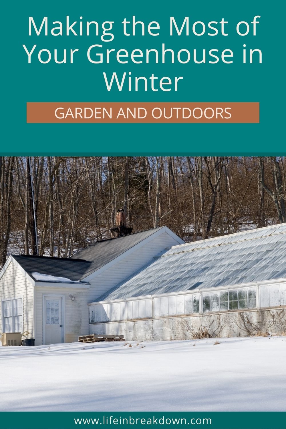 Are you thinking about growing things over the winter? Then here are some ideas that will thrive in a greenhouse.