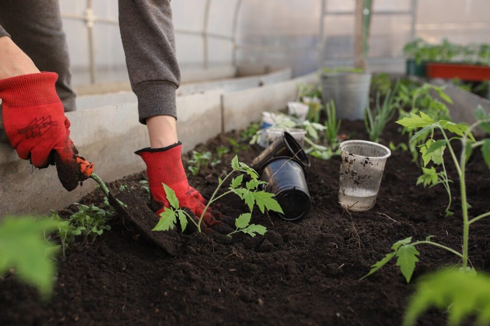 Person working in their garden planting seeds and plants