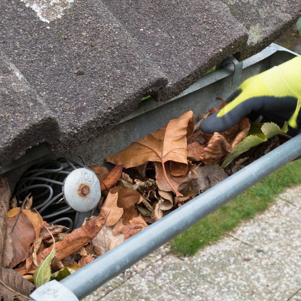 man cleaning out the gutters