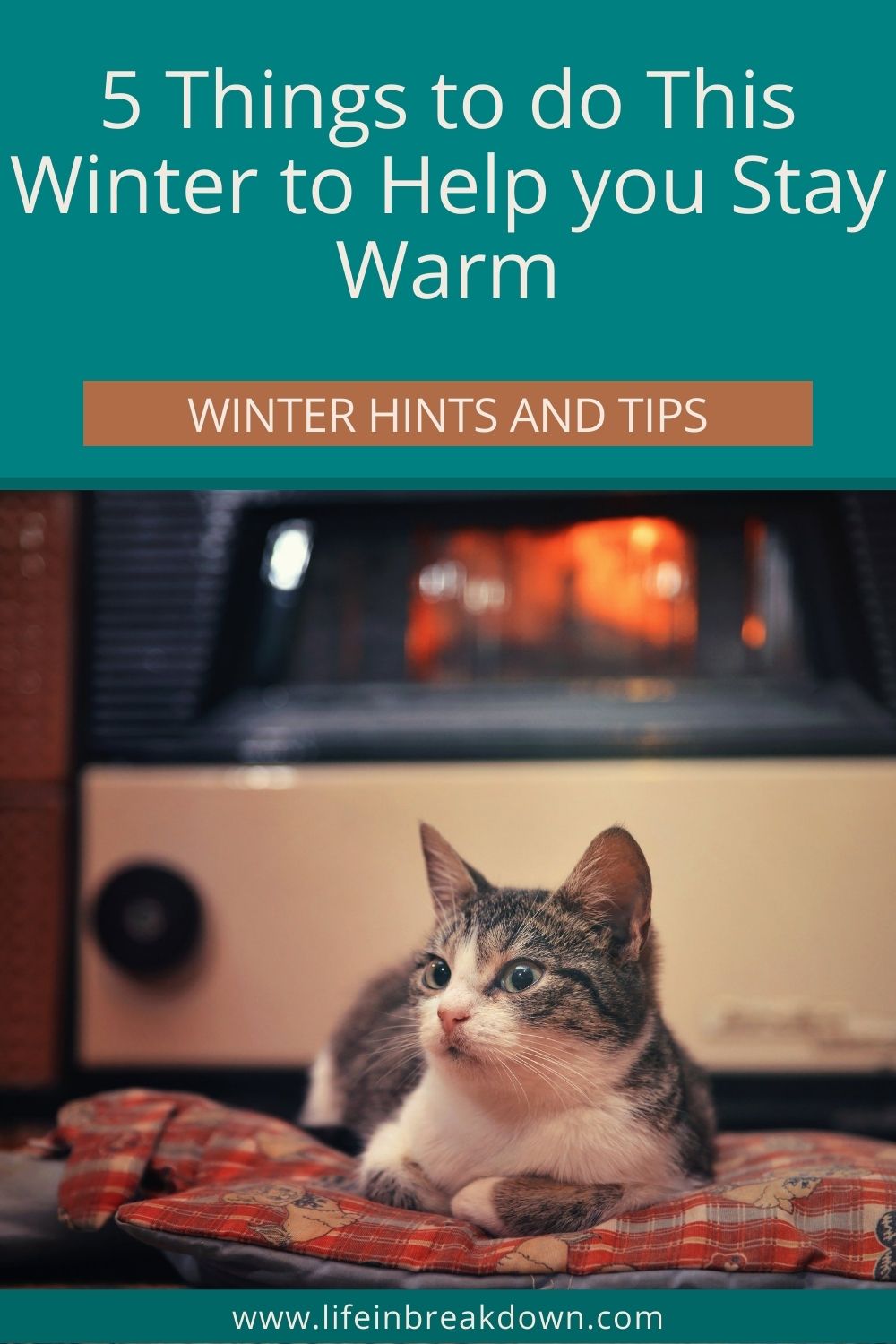 Struggling to stay warm this winter? Then here are some simple ways to help you warm yourself help when you are feeling the chill.