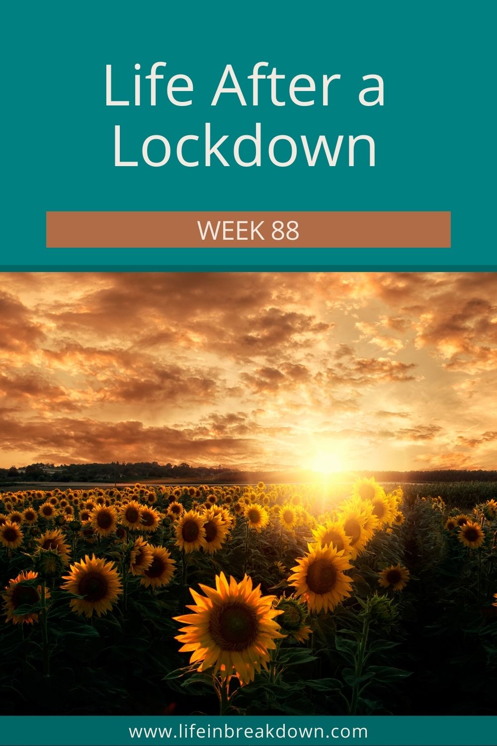 Check out what has been happened over the past week with this week's Life After a Lockdown Week 88. How has it been for you?