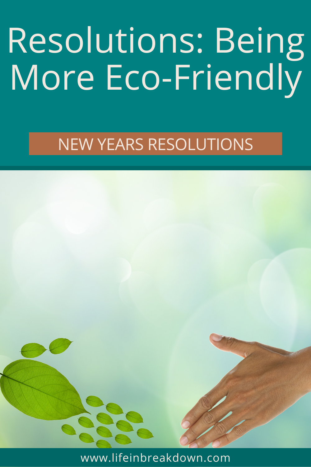 Are you looking for some resolutions to help you be more eco-friendly in the new year? Then check out these ideas.
