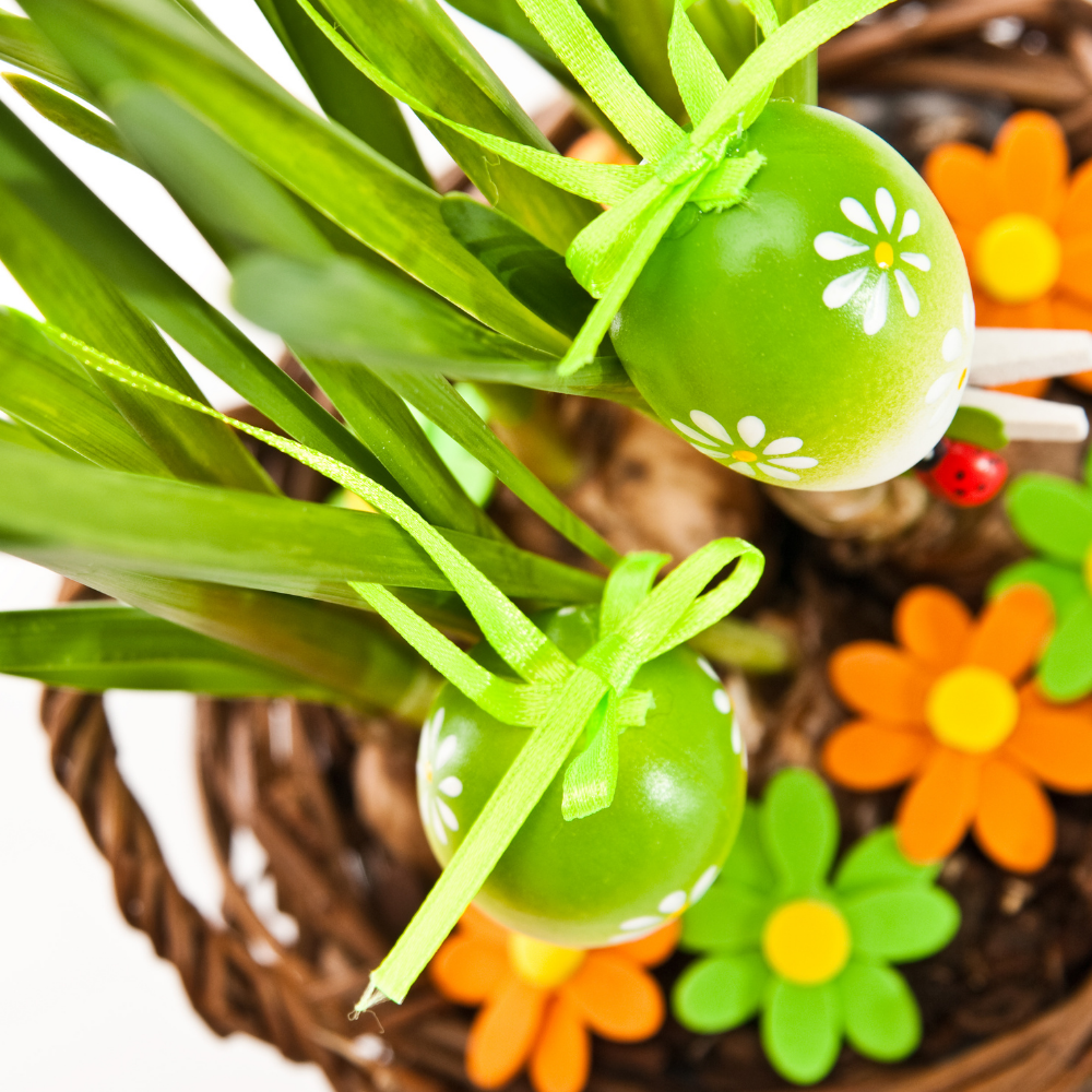 easter eggs and plant