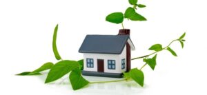 eco friendly house surrounded green leaf