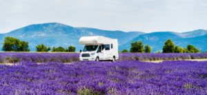 motorhome in a lavender field