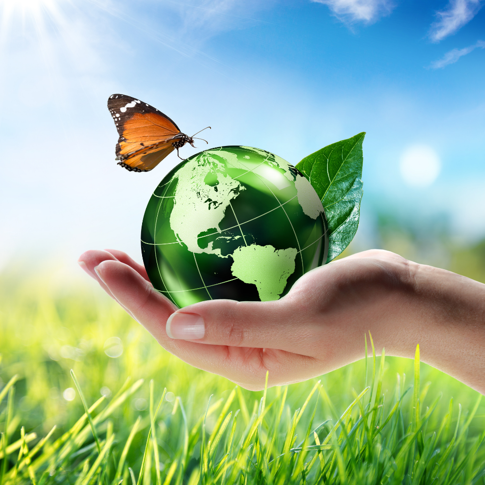 person holding the image of a green earth with a leaf and butterfly on it