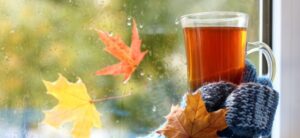 warming drink wrapped in a blue scarf next to a wet window with leaves on it