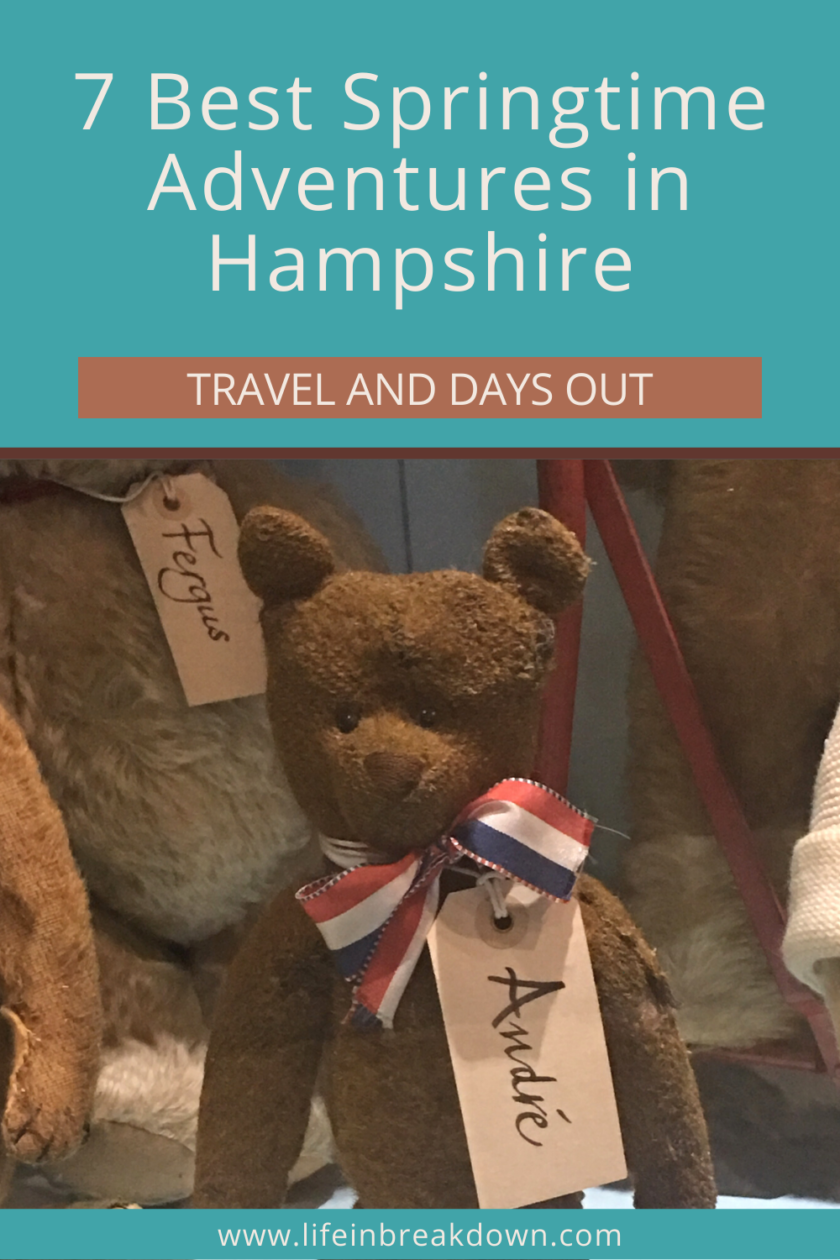 Are you looking for some fun and educational things to do across the Hampshire area? Then check out this post.